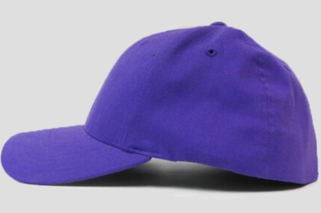 Flexfit Adult Cap 667