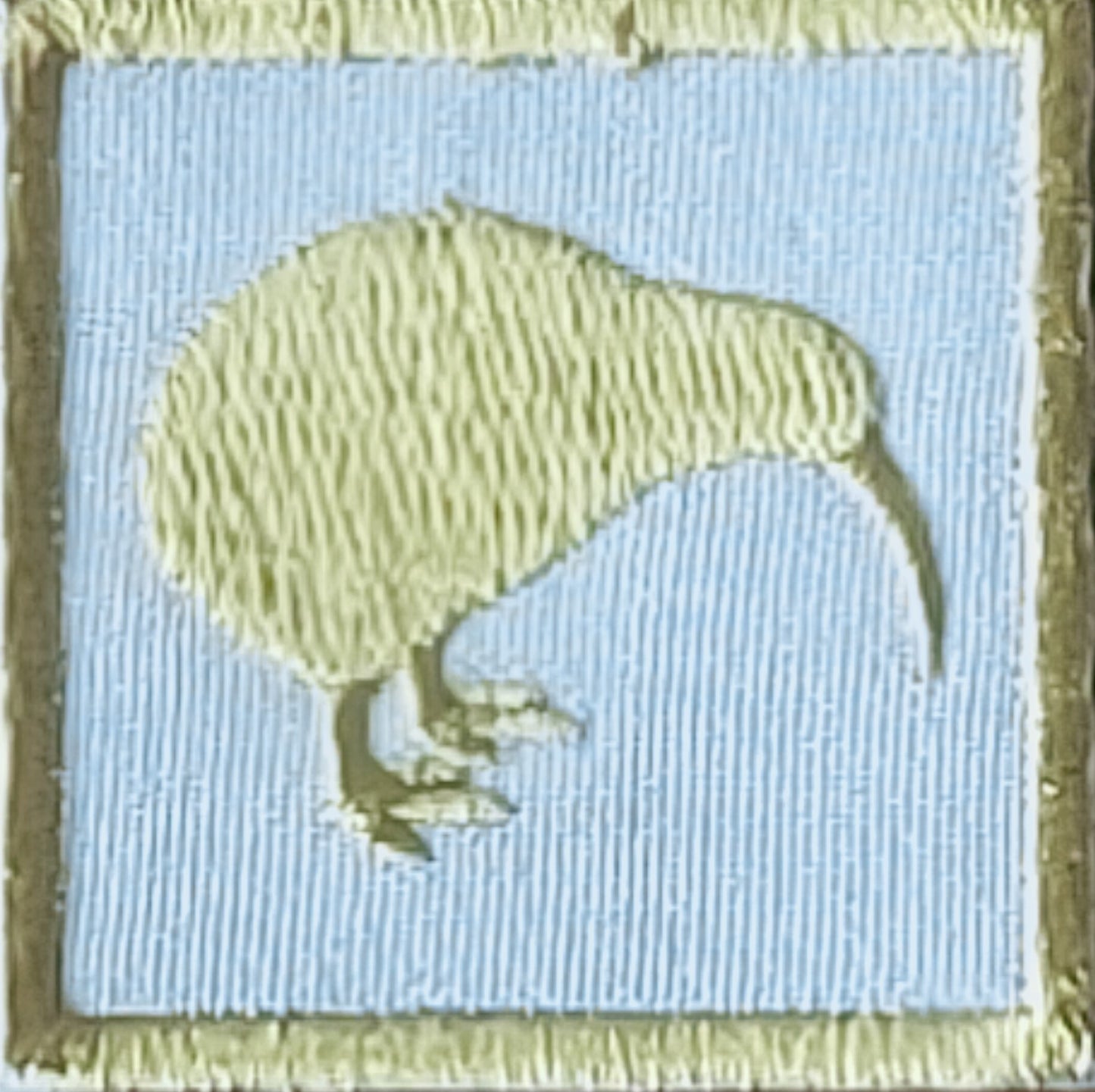Cadet Kiwi