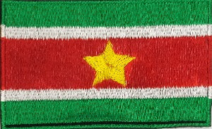 fully embroidered flag pacth 80mm wide made in new zealand flag patch of suriname